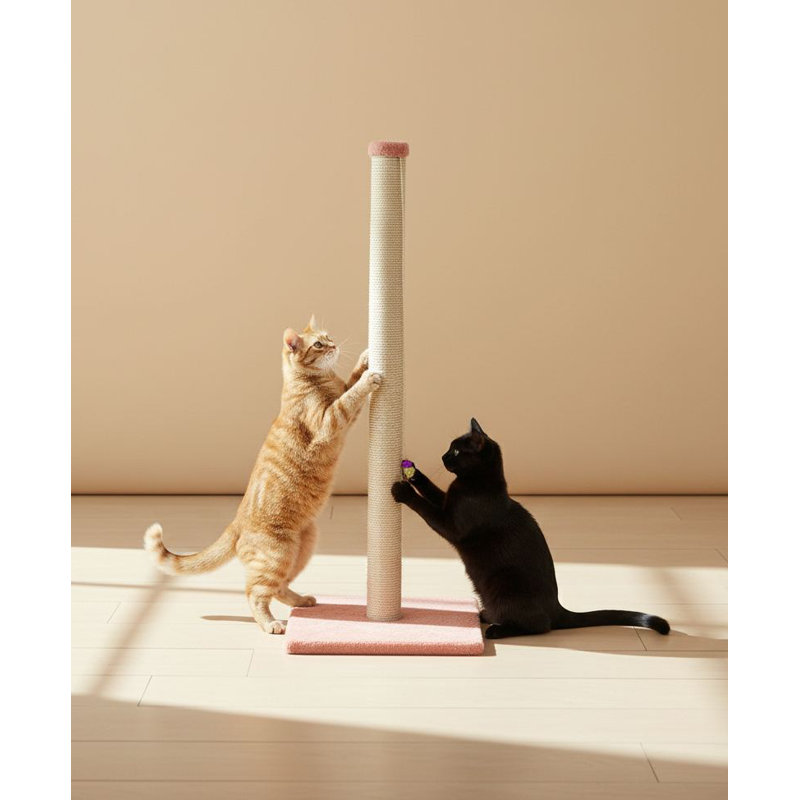 Grattoir pour chat, Corail