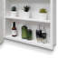 Armoire de salle de bain polyvalente avec miroir, offrant beaucoup de rangement et des options d'installation flexibles.
