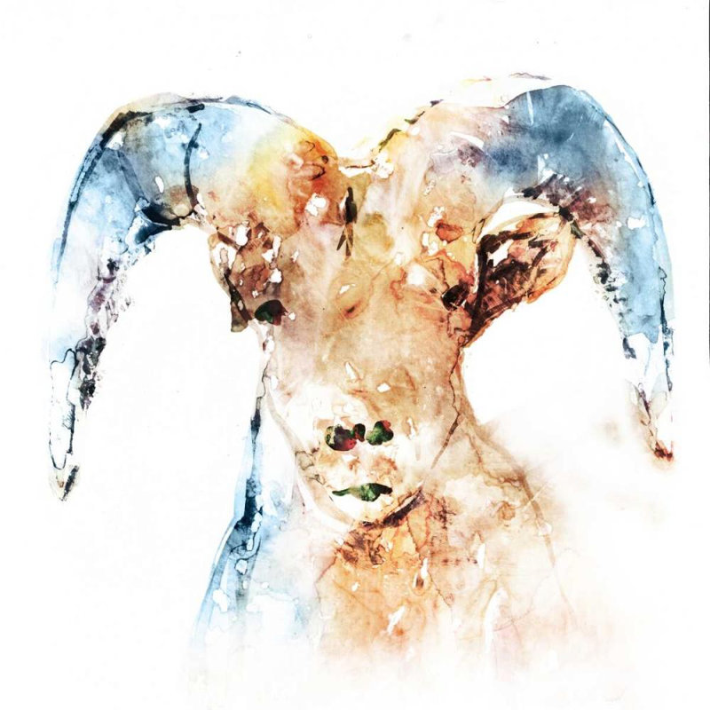 «August Grove® Selkirk, Edward», reproduction d'art sur toile tendue: Watercolor Ram, H 36 po x l 36 po