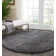Bardhi Indoor Rug