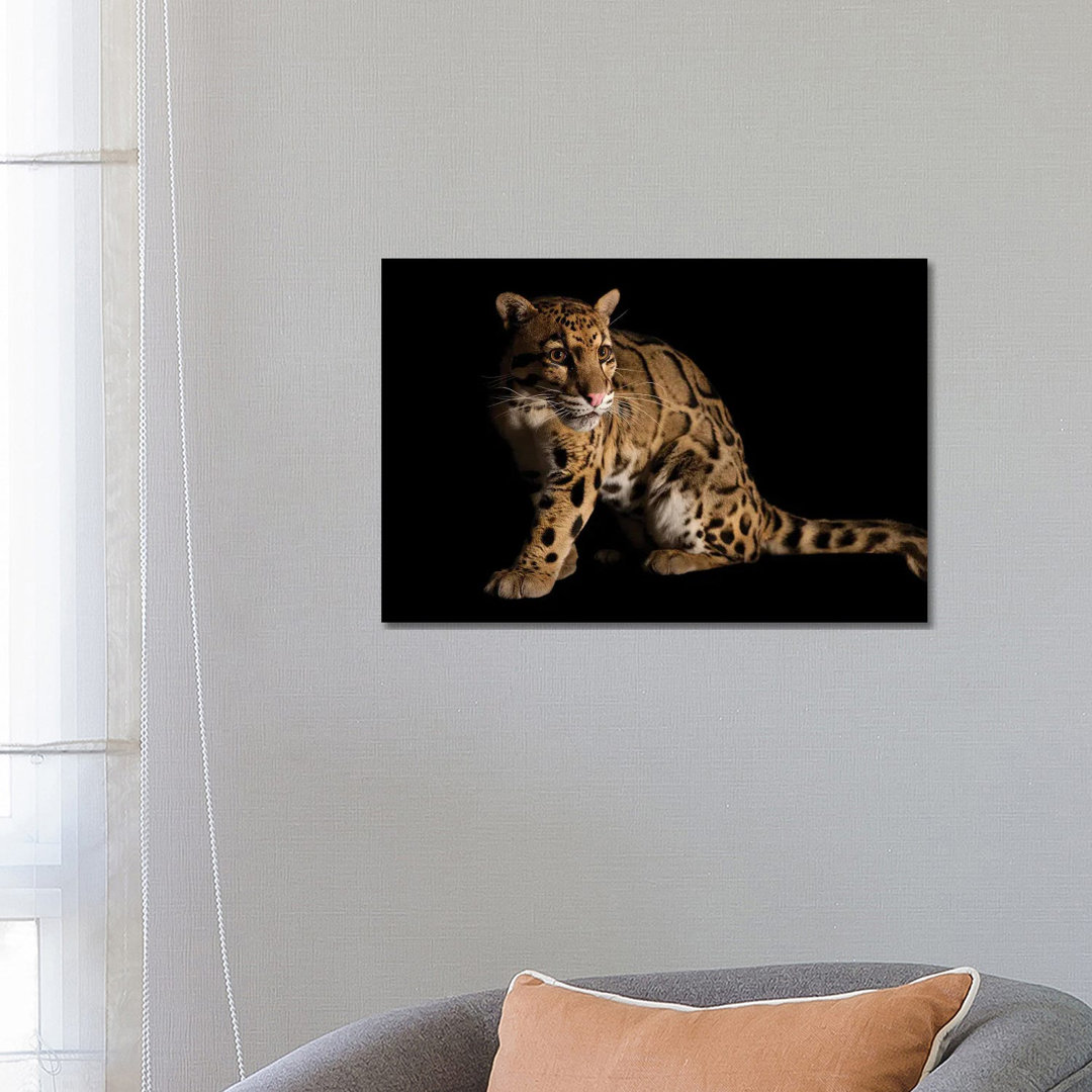 A Vulnerable And Federally Endangered Clouded Leopard At The Houston Zoo II von Joel Sartore - Gallery-Wrapped Canvas Gi...