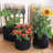 Gearonic Hydroponic Unit