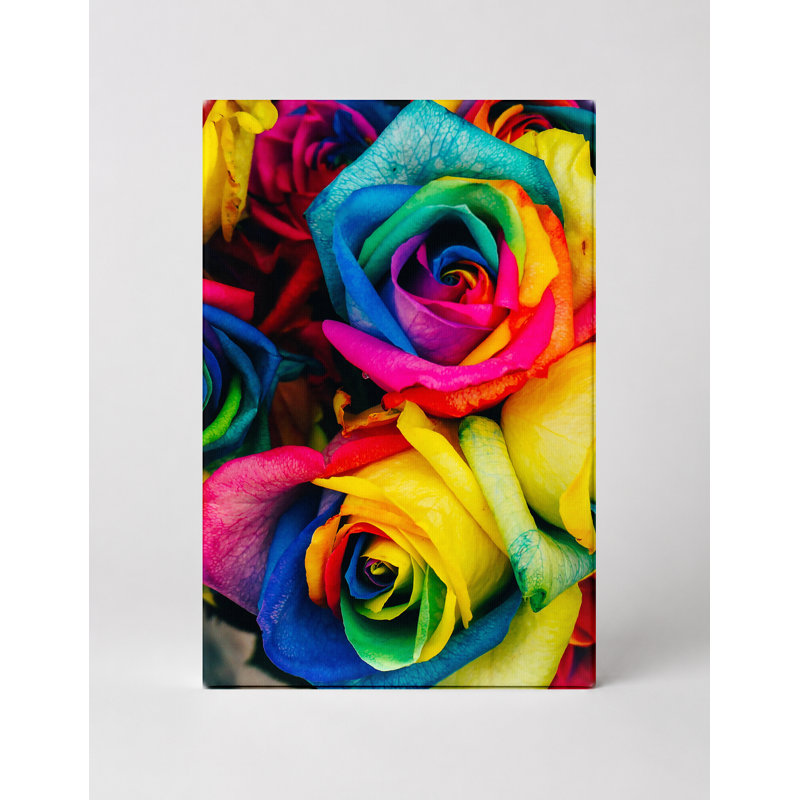 Rainbow Roses - Portrait, art mural sur toile, 11" W x 14" H