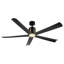 Ventilateur de plafond de 60 pouces avec télécommande et ensemble d'éclairage inclus.