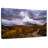 Roadside Aspen Trees-1295005181