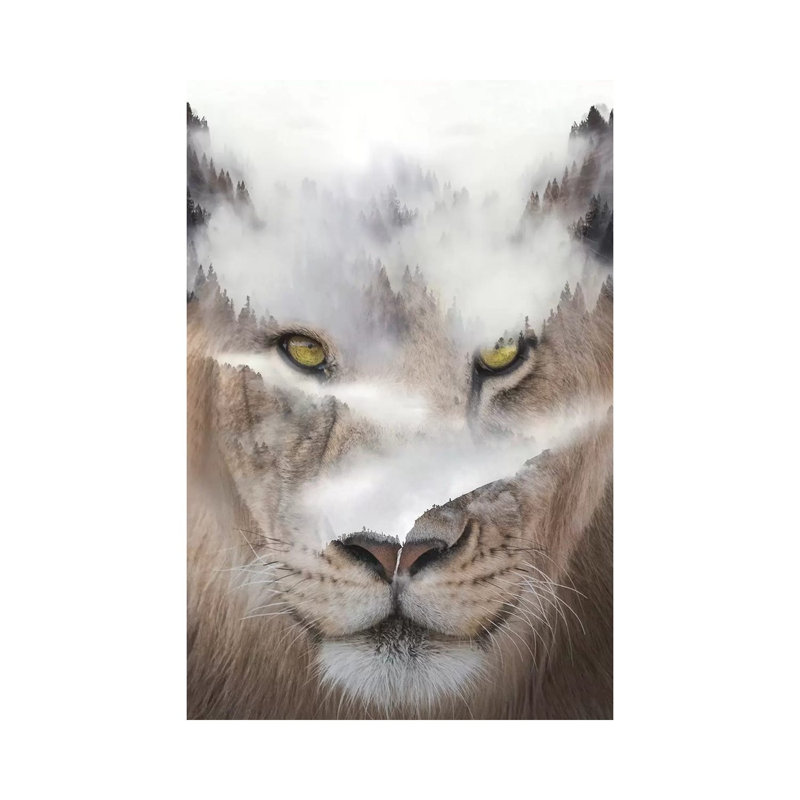 Cat by Paul Haag - Wrapped Canvas Print, 45.72cm H x 30.48cm W x 1.91cm D