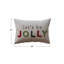 Cotton Lumbar Rectangular Pillow Cover & Insert