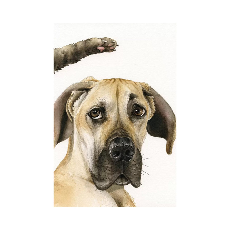 Not Again! by Tracy Lizotte - Gallery-Wrapped Canvas Giclée on Canvas, Canvas, 20.32 cm H x 30.48 cm W