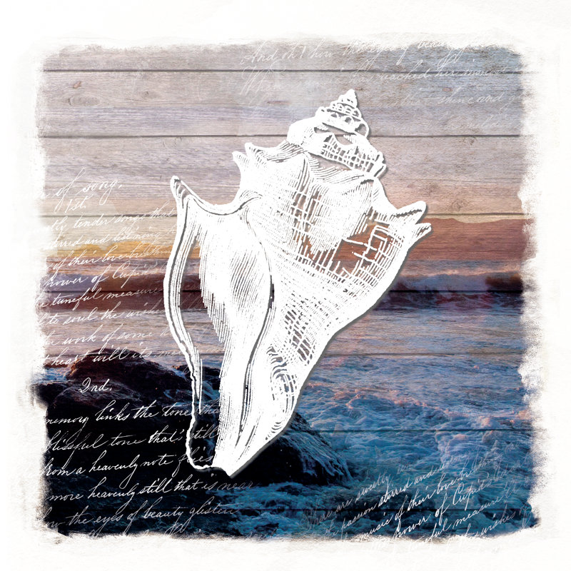 Distressed Conch On Photo Wood - Wrapped Canvas Print, 30cm H x 30cm W 