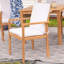 Ensemble de 2 chaises d'extérieur Rodanthe Acacia