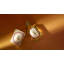 Fruits Diffuser-1215989475