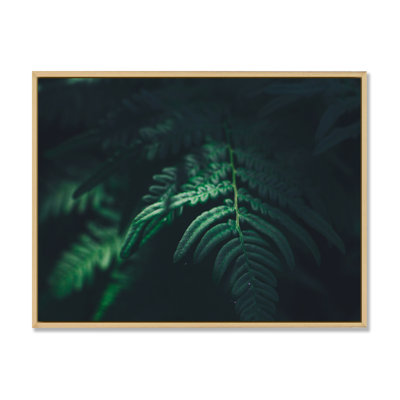 " Dark Green Fern Leaf On Black IV "