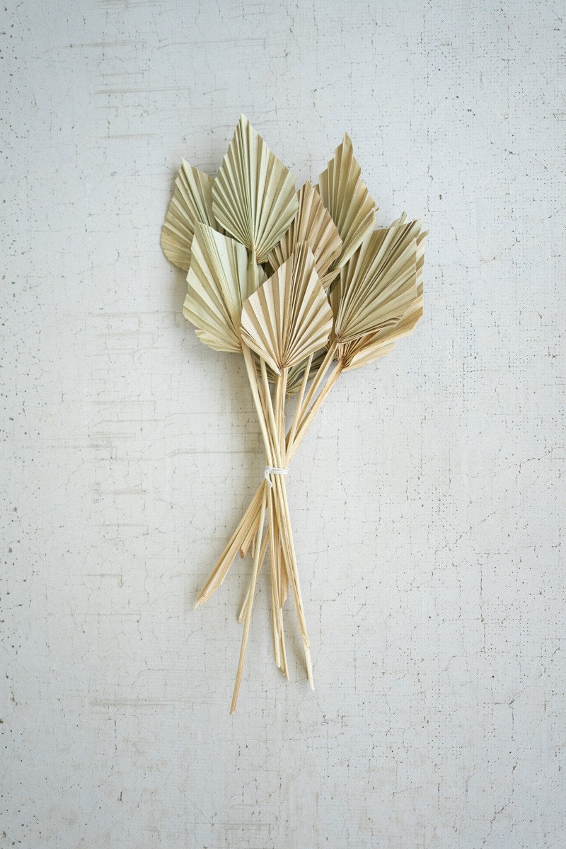 20'' Palm Branch