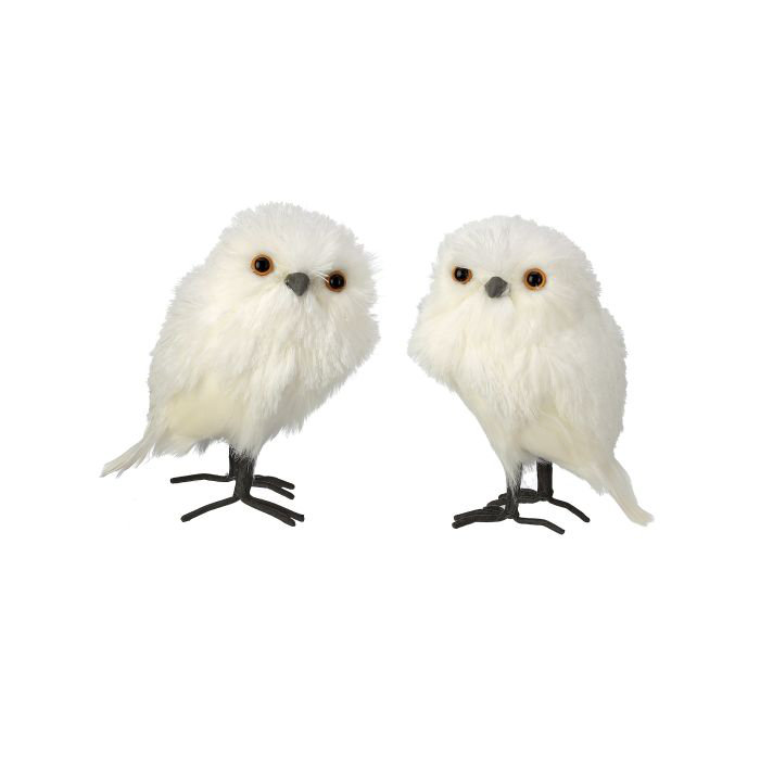 White owl 2, H 5 po x l 4 po x L 6,7 po