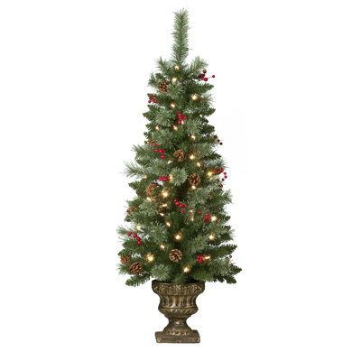 Hahne Flocked 4' Pre-Lit Spruce Christmas Tree