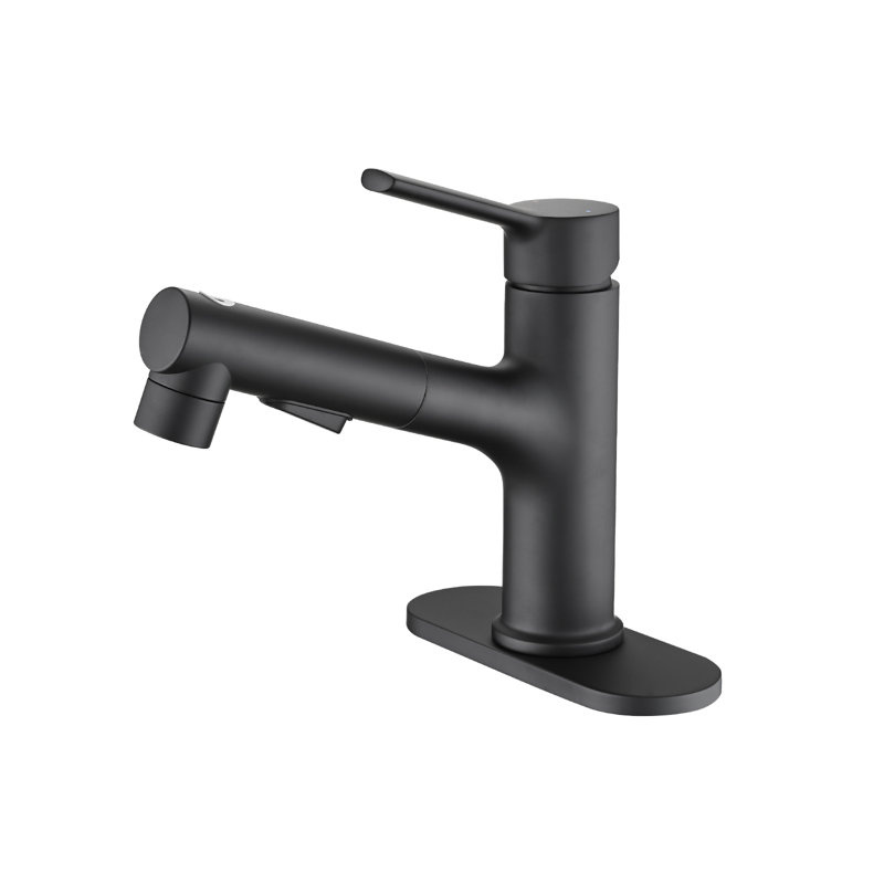 Single-hole Single-handle Bathroom Faucet With Pull Out Sprayer, Matte Black