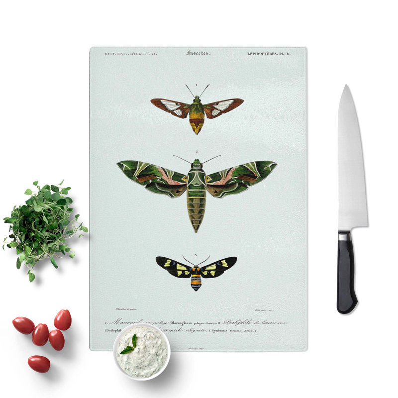 Glass Moth Illustrations Pl. 9 by Charles D' Orbigny Chopping Board, 28.5 cm W x 20 cm L