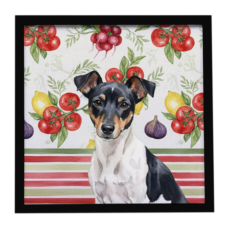 «Black and White Rat Terrier Légumes», impression sur métal encadrée