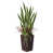 Brun est en rupture de stock sélectionné