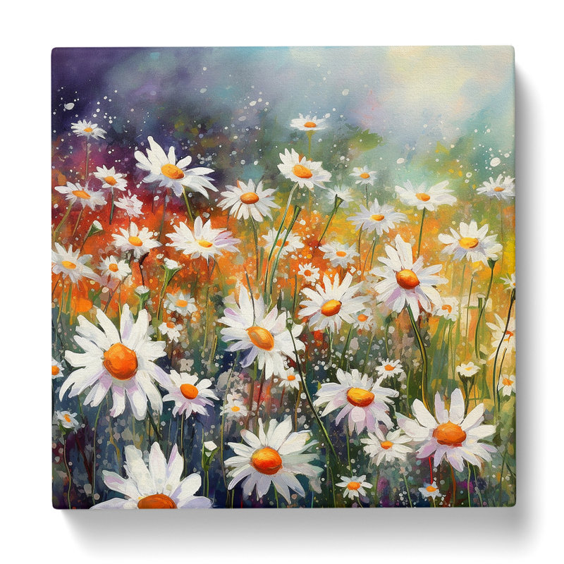Daisy Color Field Painting No.1 - Print, 50cm H x 50cm W x 3cm D