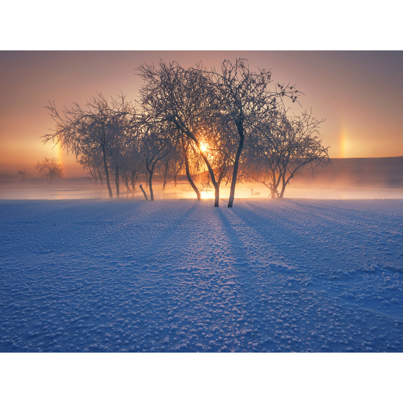 Wrapped Canvas Print, 50.8 cm H x 76.2 cm W