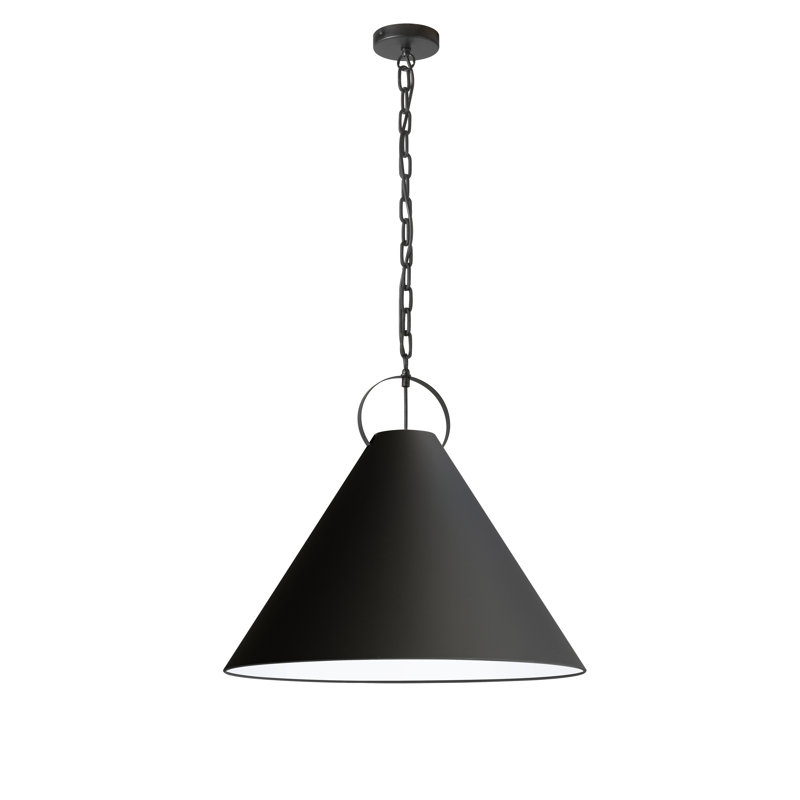 Luminaire suspendu incandescent 1 lumière Princeton, Noir mat, Noir, H 19,5 po x l 24 po x P 24 po