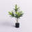 Keil Faux Dracaena Tree in Pot-548986199