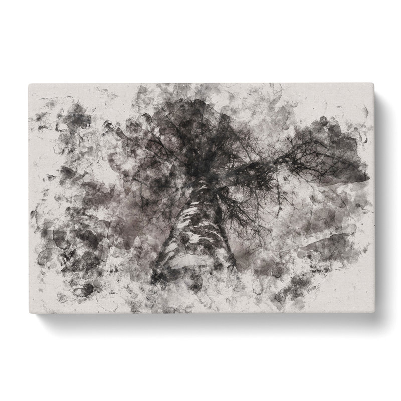 Birch Tree - Wrapped Canvas Print, 40cm H x 60cm W x 3cm D