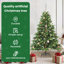 Artificial Christmas Tree with 150 LEDs Green PE and PVC-1150986115-1150986143