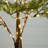 3ft. Lighted Artificial Cypress Tree with 120 Warm White LED Lights