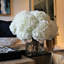 White Hydrangeas In Clear Glass Cylinder Vase-875334976-875334991