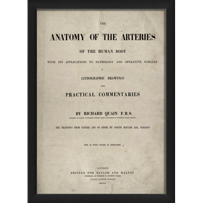 « anatomie of the arteries », art textuel encadré