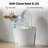 Modern One-Piece Toilet with Gold Decorative Cover, Pressure-Assisted Flush, Hands-Free Foot Kick Flush, 1.0 GPF Water-Saving, Soft Close Seat, Standard 12'' Rough-In