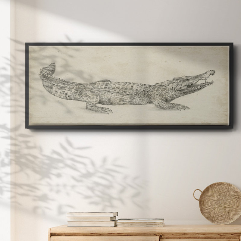 Croquis de crocodile - toile encadrée