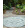 Oriental Indoor / Outdoor Rug