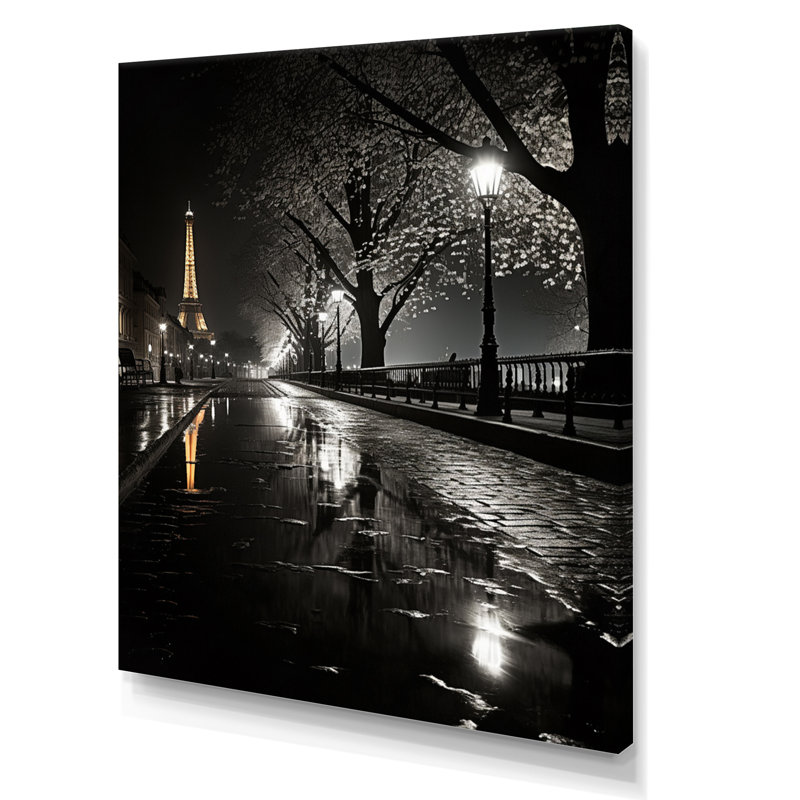 Parisian Moonlit Night I - Paris, reproduction d'art encadrée, H 40 po x l 30 po x P 1,5 po, Toile tendue
