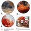 «Keneilwe Fall Foliage Tree In The Woods I», reproduction sur toile-88529766-88529774