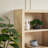 Cottrell 72.25" H x 32" W 4-Tier Wood Bookshelf Shelving Unit-429087703