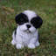 Statue de chiot Shih Tzu assis-16443398