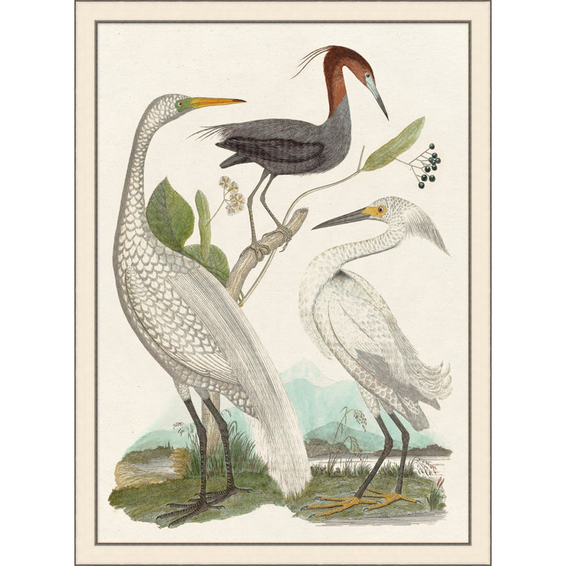 Trio Comparison' Framed Print on Glass