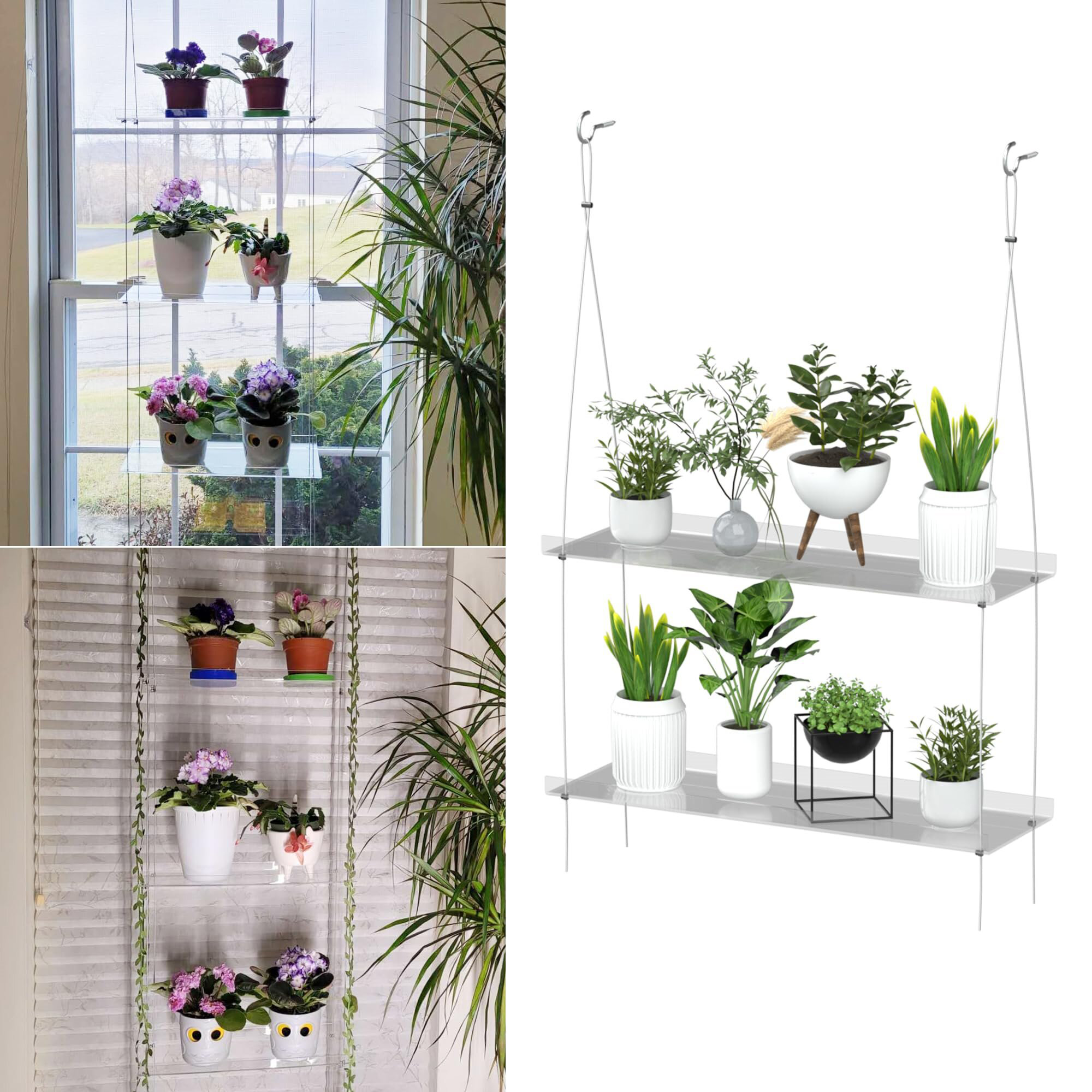Ivy Bronx Acrylic Hanging Window Plant Shelves, Indoor Windows (Clear ...