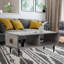 Table basse avec rangement Dayshanay-636867810