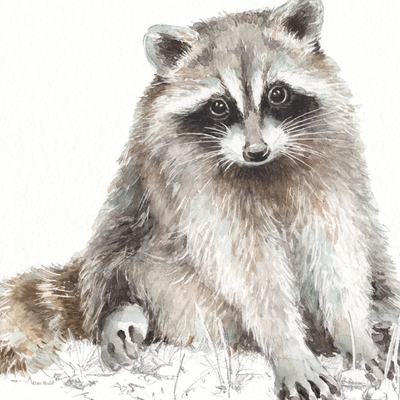 Forest Friends IV by Lisa Audit - Wrapped Canvas Painting, 51cm H x 51cm W