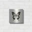 «Butterfly III BW» par Debra Van Swearingen-402649230