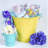 Gracie Oaks Decorative Bin-552245821