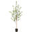 Tree-50138466