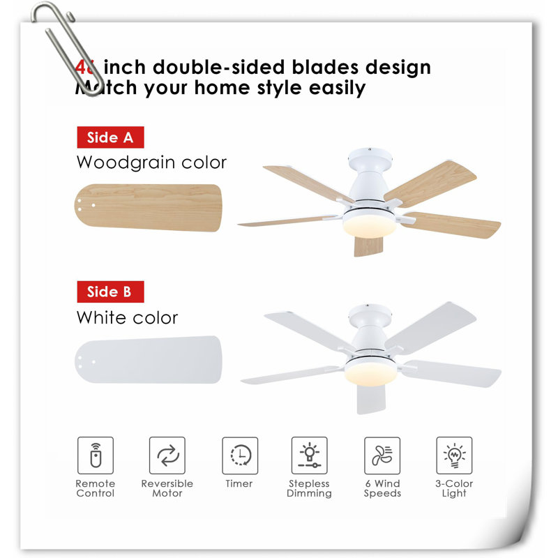 Museau Ceiling Fan with LED Lights, White