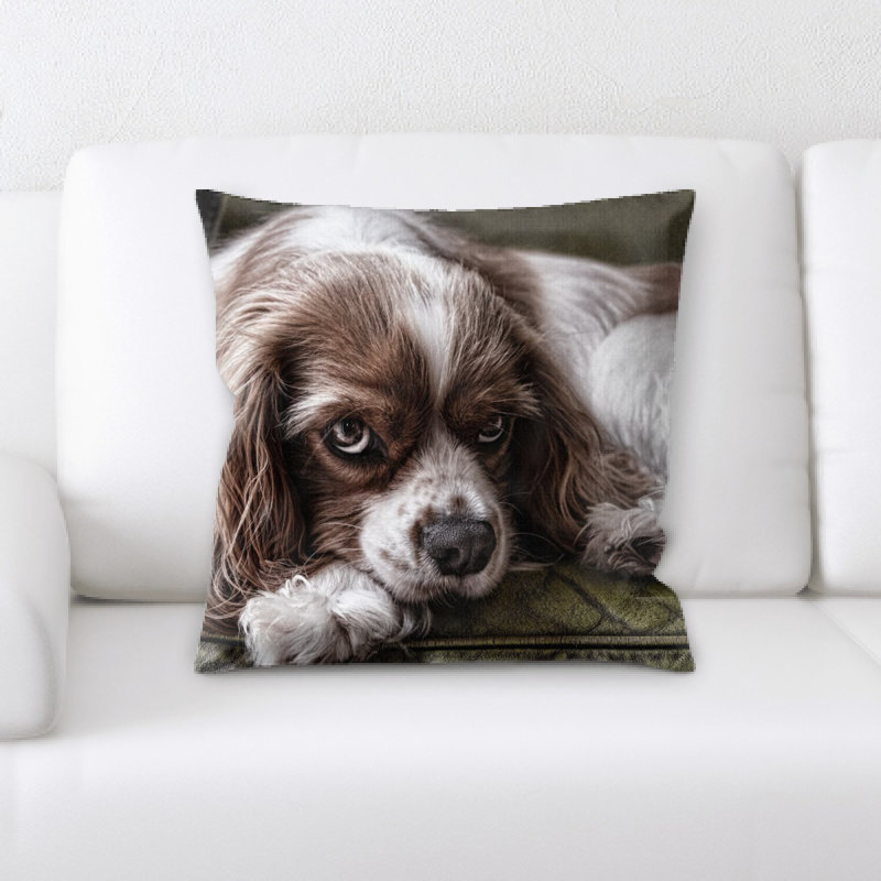 Coussin pour chien