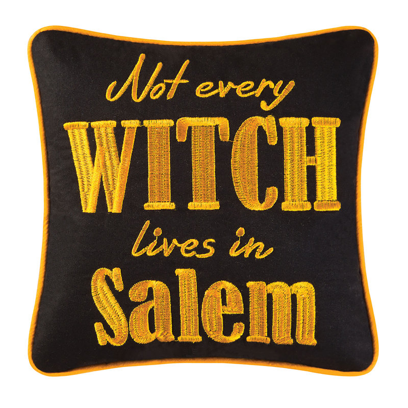 Not Every Witch Lives in Salem Halloween Embroidered Pillow