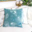 Ensemble de 2 coquillages bleus et spa-124862112-124862113